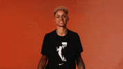 Candice Dupree Yes GIF by WNBA