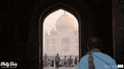 acorn-tv travel india bbc british GIF