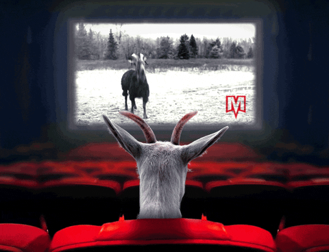 Goat Macabra GIF by DarkSide® Books