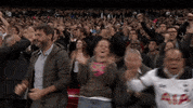 GIF by Tottenham Hotspur