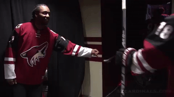 Arizona Coyotes GIF by Arizona Cardinals