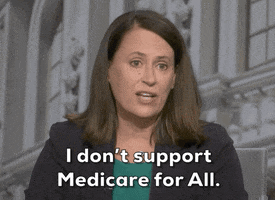 Theresa Greenfield GIF by Election 2020