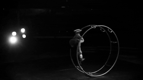 Circus Cirque GIF by MagdaClan circo