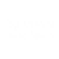 Sevdan Bir Ateş Sticker by Show TV
