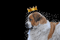 TeleferikBursa bursa cable car cablecar uludag GIF