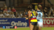sedunary GIF by Adelaide Crows