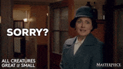 Excuse Me What GIF by MASTERPIECE | PBS