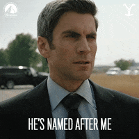 Paramount Network GIF by Yellowstone