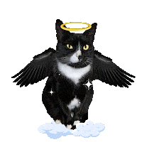 Angel Wings Halo Sticker