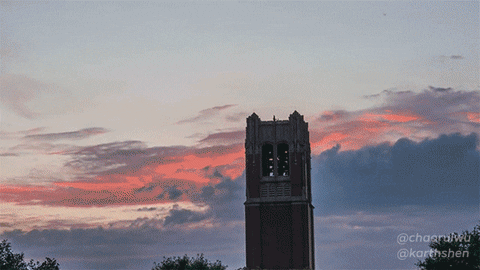 Time Lapse Football GIF by University of Florida