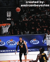 Matt Thomas GIF