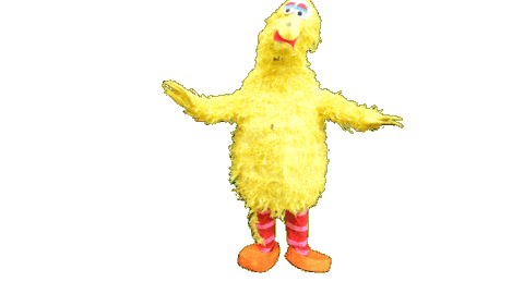 Bird Camera Sticker by Kachel FM