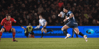 SaleSharks rugby sale sharks salesharks gallagherprem GIF
