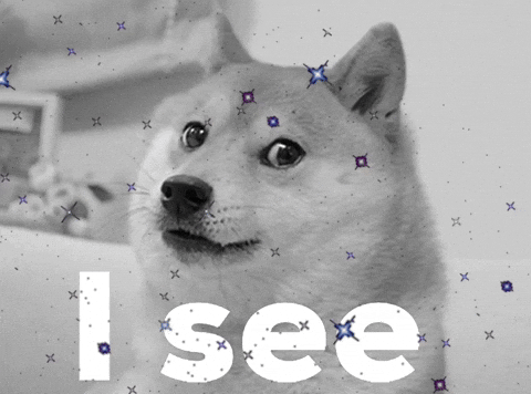 Rahimmam giphyattribution giphycreatortest i see GIF