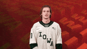 Ice Hockey Sport GIF by Iowa Wild