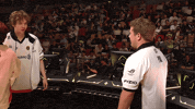 Pal GIF by Team Vitality