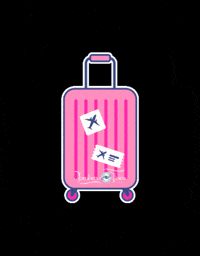 farobenoviajes bag turismo viaje viajar GIF