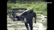 GIF by Dead Set on Life