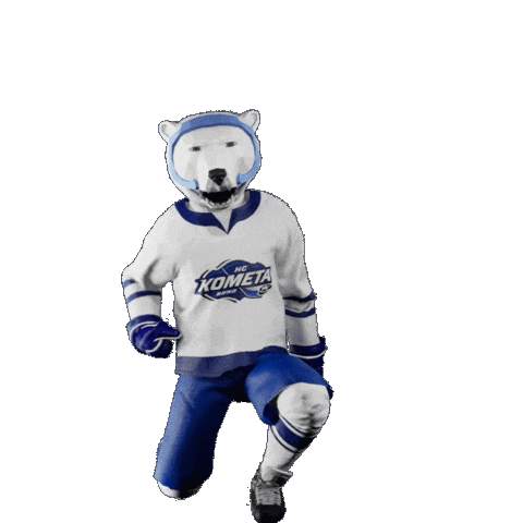 Hockey Hokej Sticker by Tipsport extraliga