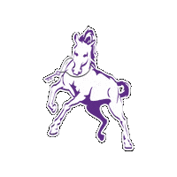 Stallion Betas Sticker by Greek Swag Pack