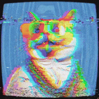 Over There Cat GIF by The LSD Hotel