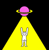 lesfalses GIF