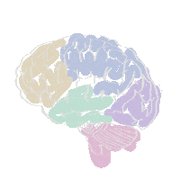 art_scalpel science brain human medicine Sticker