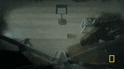 genius tv GIF by National Geographic Channel