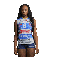 Volleyball Indica Sticker by ImocoVolley
