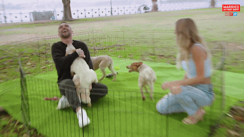 Dog Reaction GIF by Married At First Sight