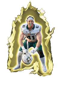 DolphinsAncona football beast american football dolphins Sticker