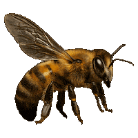 Flourishing Design Center Sticker by DTI Design Center of the Philippines