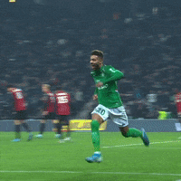 Celebration Goal GIF by AS Saint-Étienne