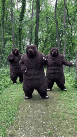 Chubsuit bear suit chubsuit chub suit bear chubsuit GIF