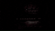 cornell university GIF