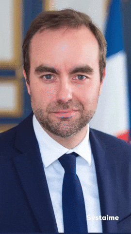 France Ministre GIF by systaime