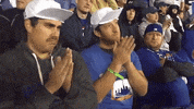 big cat kfc GIF by Barstool Sports