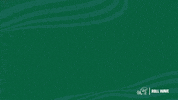 New Orleans Smile GIF by GreenWave