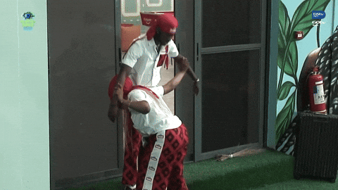 Bbnaija GIF by Big Brother Naija
