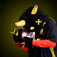Soccer Mascot GIF by New Mexico United
