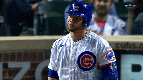 Cubs GIF by Marquee Sports Network