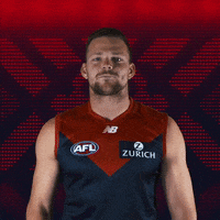 melbourne football club afl GIF by Melbournefc