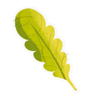 Leaves Verde Sticker by Extrafruti