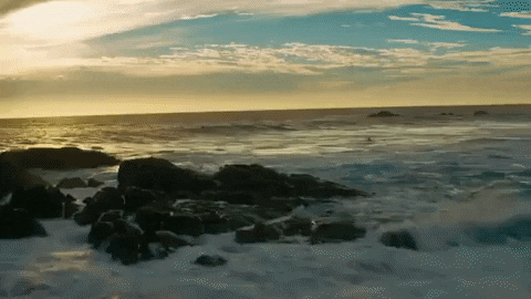 Surfing Hawaii GIF by 50statesproject