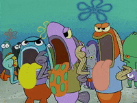 season 2 GIF by SpongeBob SquarePants