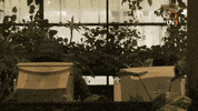 GIF by UN3TV