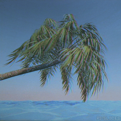 palm tree loop GIF by Pi-Slices
