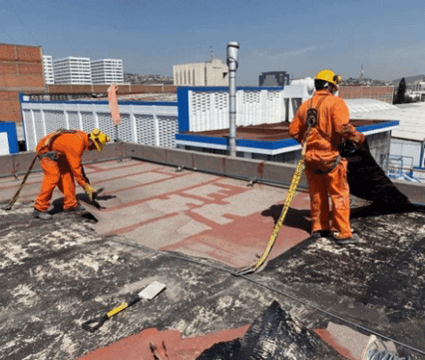 Gruporex giphygifmaker GIF