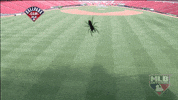 vtp_mlb_network GIF by MLB