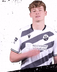 3Liga Wirechtanders GIF by SV Sandhausen